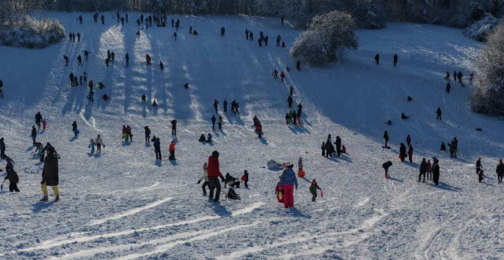 SANKANJE U BEOGRADU DUGO NIJE BILO OVAKO LUDO Sneg doneo radost, smeh i haos na Banovom brdu! (VIDEO)