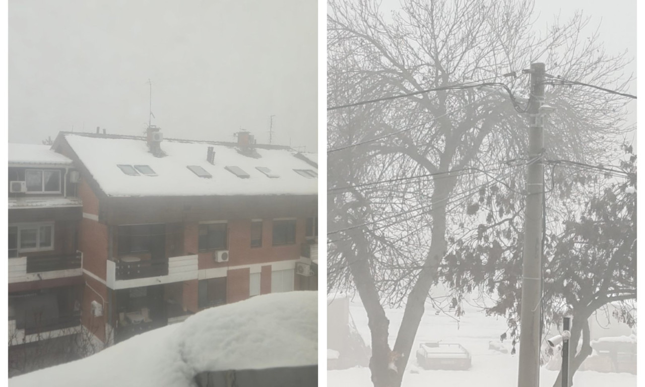 MAGLA OKOVALA SRBIJU! U Obrenovcu i Pančevu se "ne vidi prst pred okom", haos i na Ibarskoj magistrali (FOTO/VIDEO)