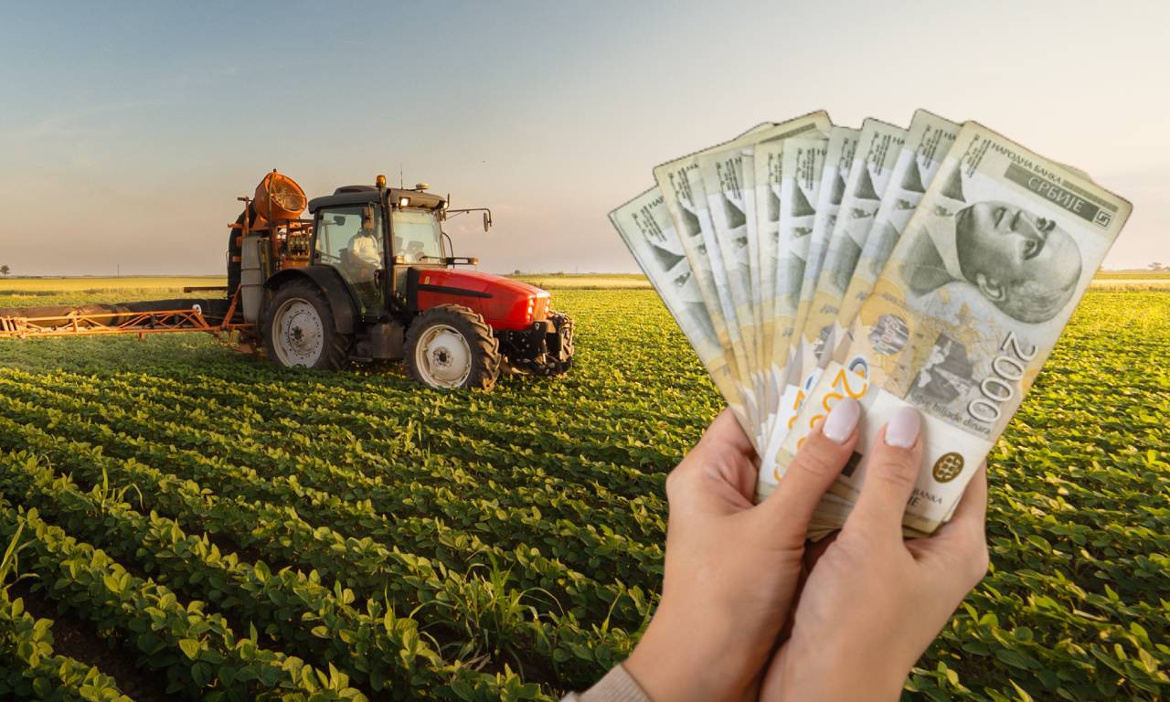 DRŽAVA OTVARA KESU: Evo koliko para stiže poljoprivrednicima u 2026. godini - Glamočić najavio subvencije kakve Srbija nije videla!