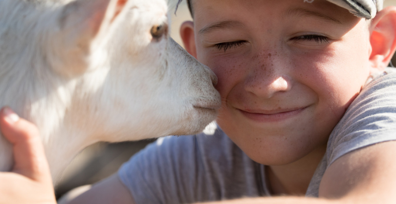 DEČAK SVAKI DAN PREĐE 30 KILOMETARA DA POMOGNE BAKI I ČUVA KOZE Mališan iz Priboja poslao poruku za divljenje (VIDEO)