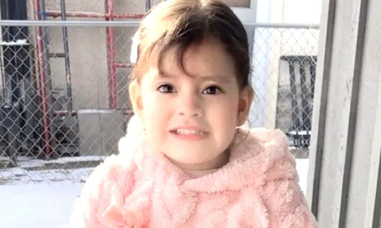 AGENTI ICE PRIVELI DEVOJČICU (2)! Upali u dvorište usred noći, razbili auto i odveli dete (FOTO)