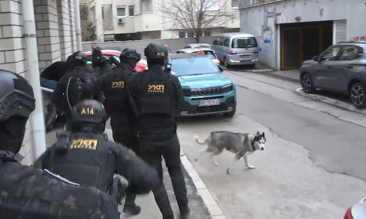 POMOGLI UBICI SVOG DRUGA! Prijatelji Živka Bakića sreli krvnika sa psom u šumi, evo kako ih je monstruozno prevario