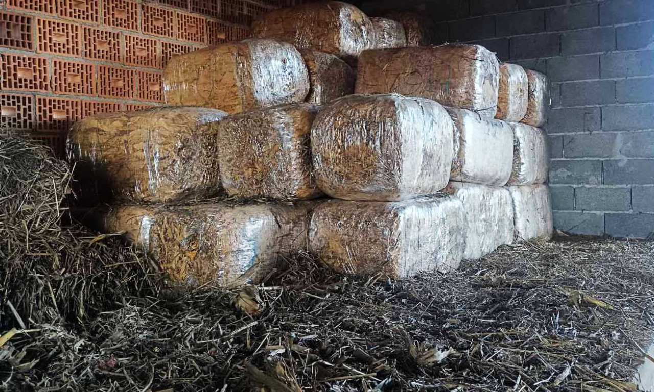HAPŠENJE U ŠAPCU Otkriveno 3,3 tone ilegalnog duvana – osumnjičeni državu oštetio za 27 miliona
