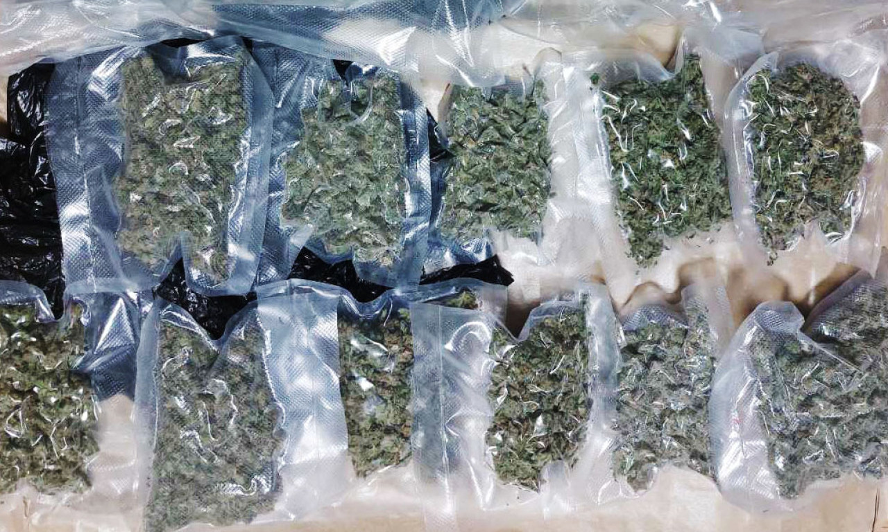 NAJNOVIJE INFORMACIJE MUP-A O VELIKOJ AKCIJI NA DORĆOLU: Zaplenjeno 2,6 kila marihuane, evo šta kaže Dačić (FOTO)