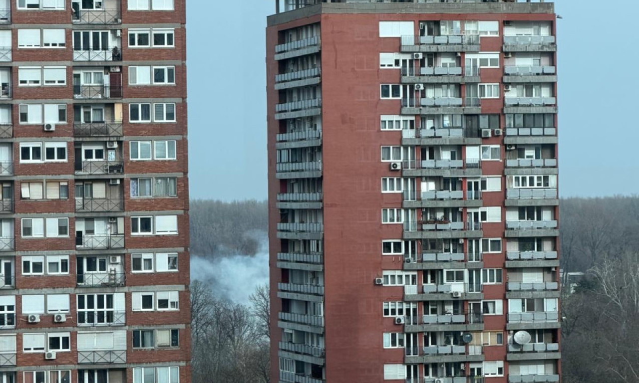 POŽAR KOD TC Ušće! Panika na Novom Beogradu, pogledajte kako kulja dim (VIDEO+FOTO)