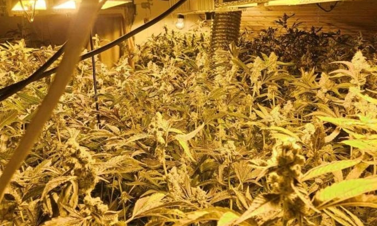 POLICIJA OTKRILA JOŠ JEDNU LABORATORIJU DROGE Akcija u Čačku, evo šta je sve pronađeno, uhapšen muškarac (FOTO)