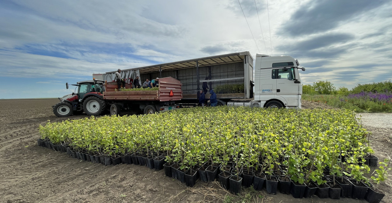 TREESURY PROGLASIO DRUGU JAVNU PONUDU USPEŠNOM Time širi investicionu zajednicu na tri kontinenta