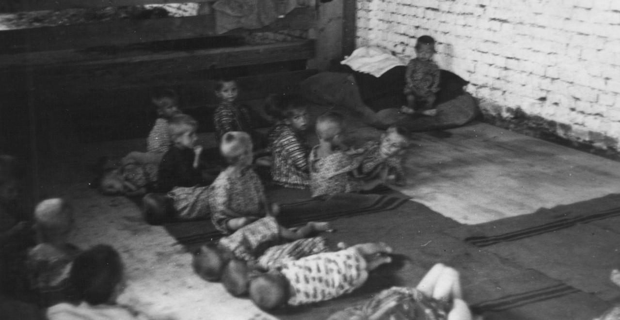 USTAŠE SE TAKMIČILE U KLANJU, "POBEDNIK" UBIO 1.200 LJUDI ZA NOĆ Profesor Grajf izneo detalje užasa Jasenovca