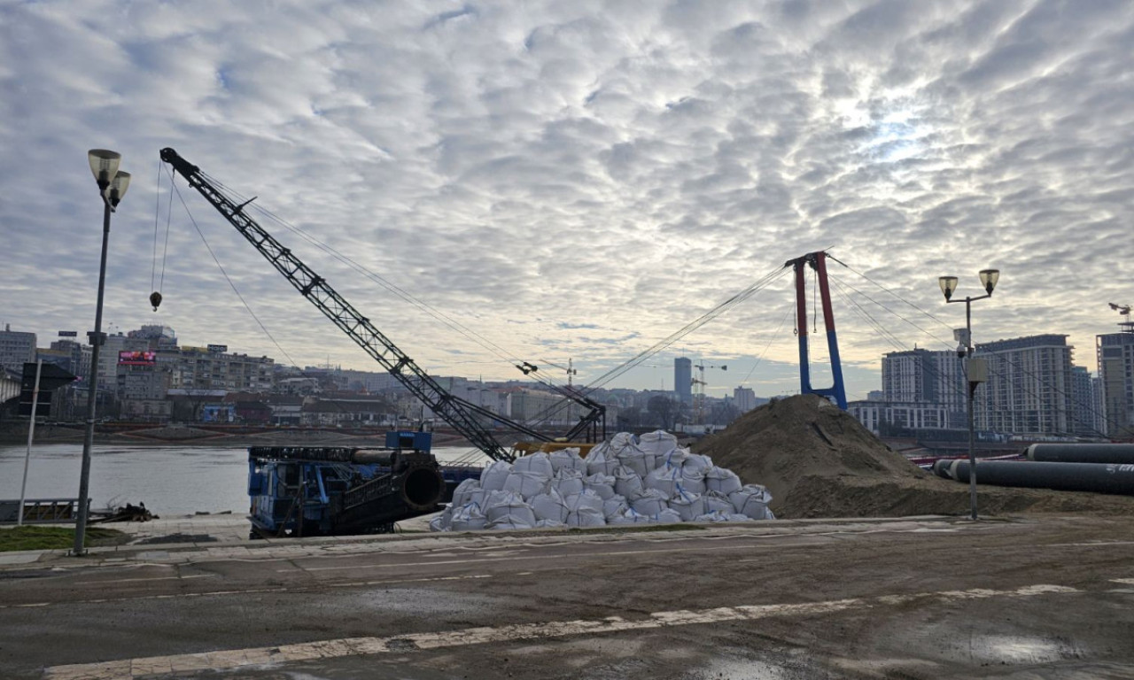 NAZIRE SE IZGLED NOVOG MOSTA PREKO SAVE Pogledajte kako teku radovi (FOTO)