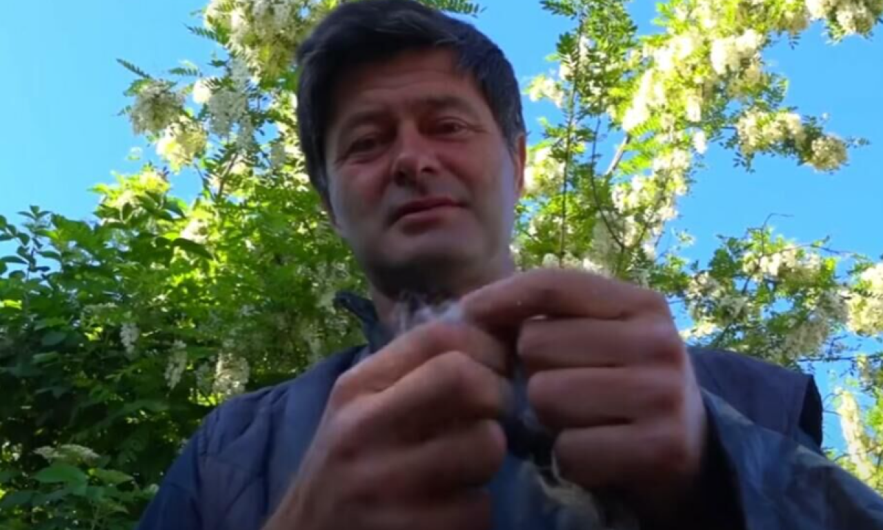 SRBIN HTEO DA OŽENI ALBANKU, A ONDA DOŽIVEO ŠOK Ostao bez supruge i bez para: "Neće nijedna u selo"