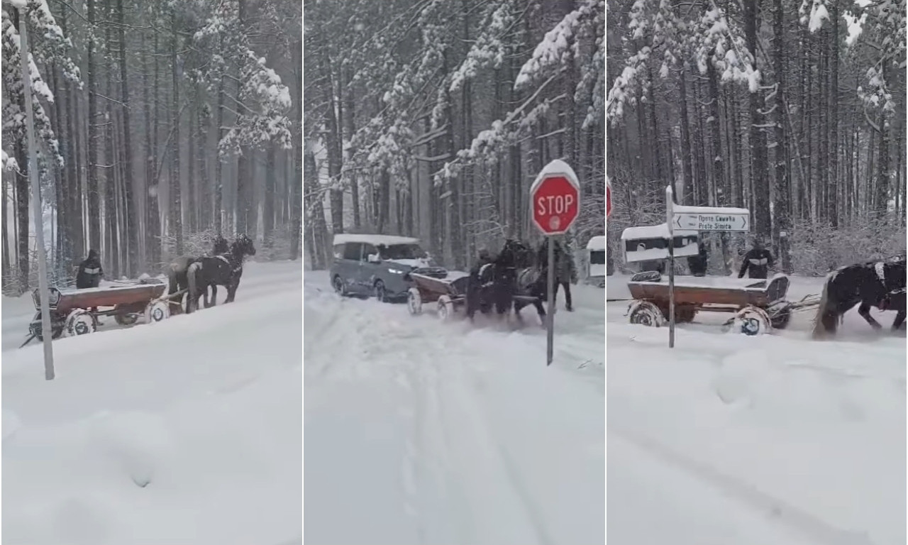 NIŠTA BEZ KONJA! Zaprega izvlači automobil na Zlatiboru! Pogledajte neverovatnu scenu i šta je sneg napravio (VIDEO)