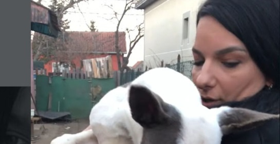 PRIJATELJ STRADALE SANJE KROZ SUZE ZA K1INFO: "Nije digla ruku na sebe, žurila je kući deci pre nesreće" (FOTO/VIDEO)