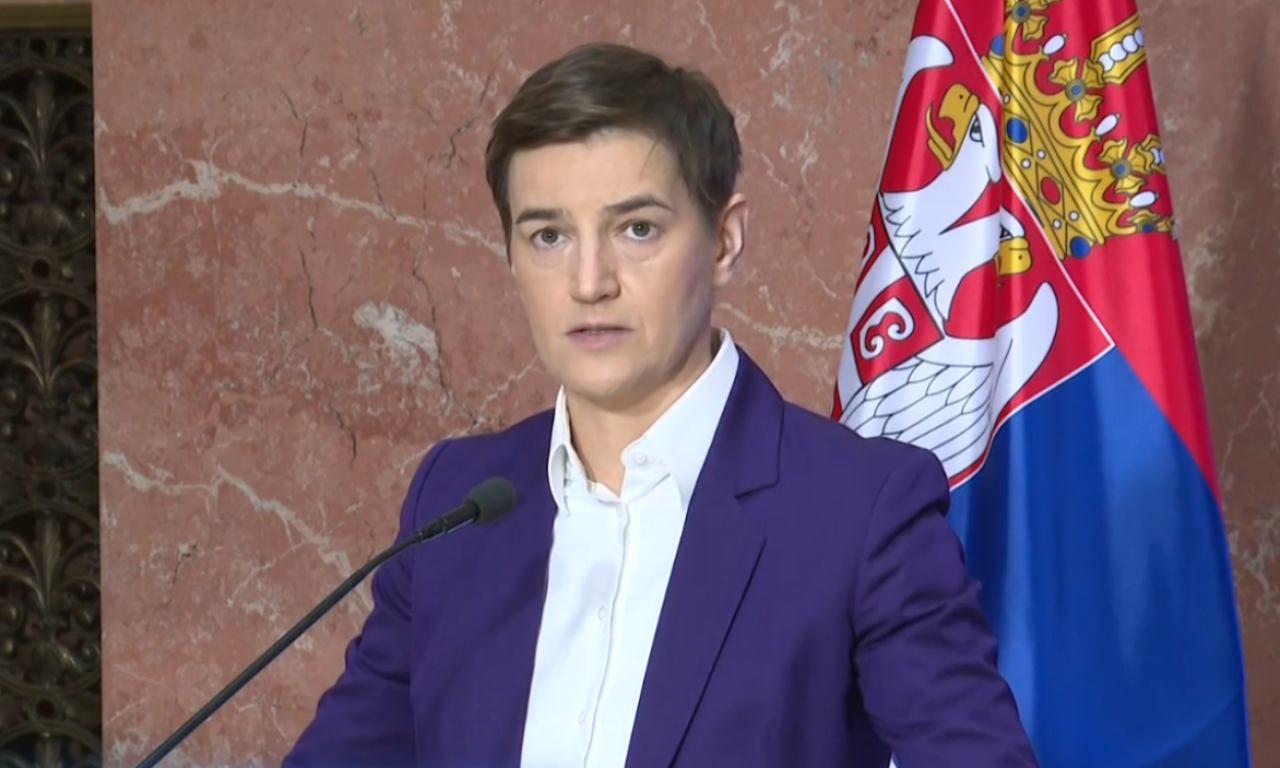 BRNABIĆ RASPISALA LOKALNE IZBORE Glasanje 29. marta u 9 opština, ovo je sve što treba da znate