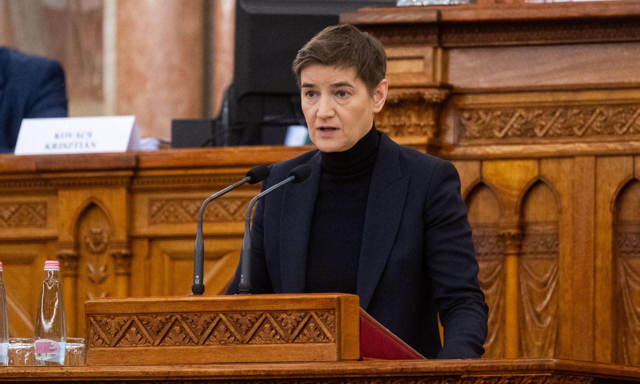 BRNABIĆ: SNS podršku traži od građana Srbije, blokaderi iz bivše vlasti od stranaca