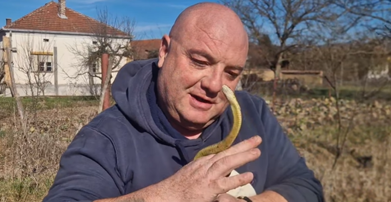 PANIKA NA JUGU SRBIJE! Zmije se probudile pre vremena: Vladica Stanković skočio u bunar da uhvati neman (VIDEO)