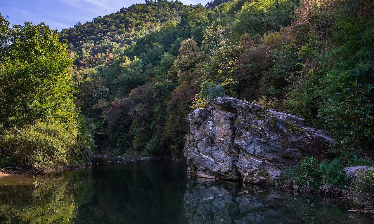 HOROR U VLASOTINCU: Kod brane pronađeno telo muškarca (65)