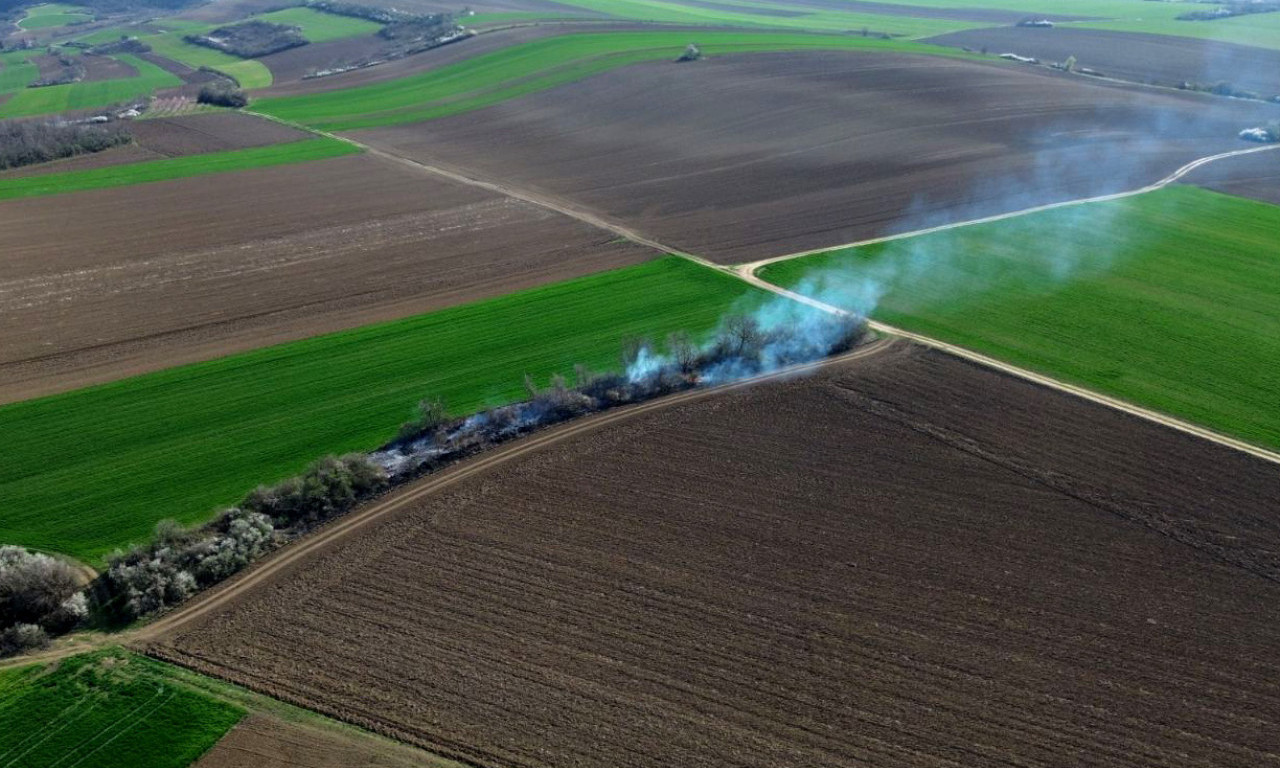 POŽAR KOD BEOČINA Pogledajte koliki dim se nadvio (VIDEO)