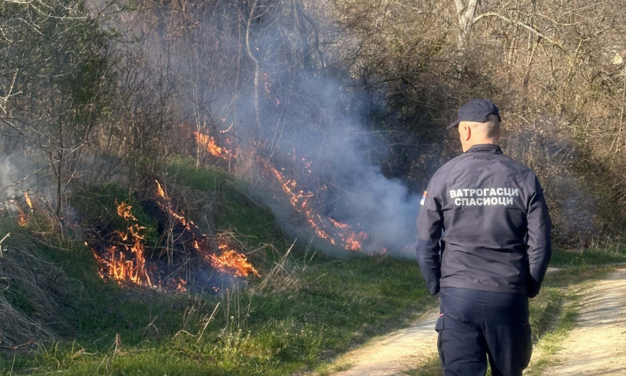 VATROGASCI SVE VREME NA TERENU Požar u vikend naselju kod Bovanskog jezera! Širi se velikom brzinom! Zahvaćene tri vikendice, šuma i trava!