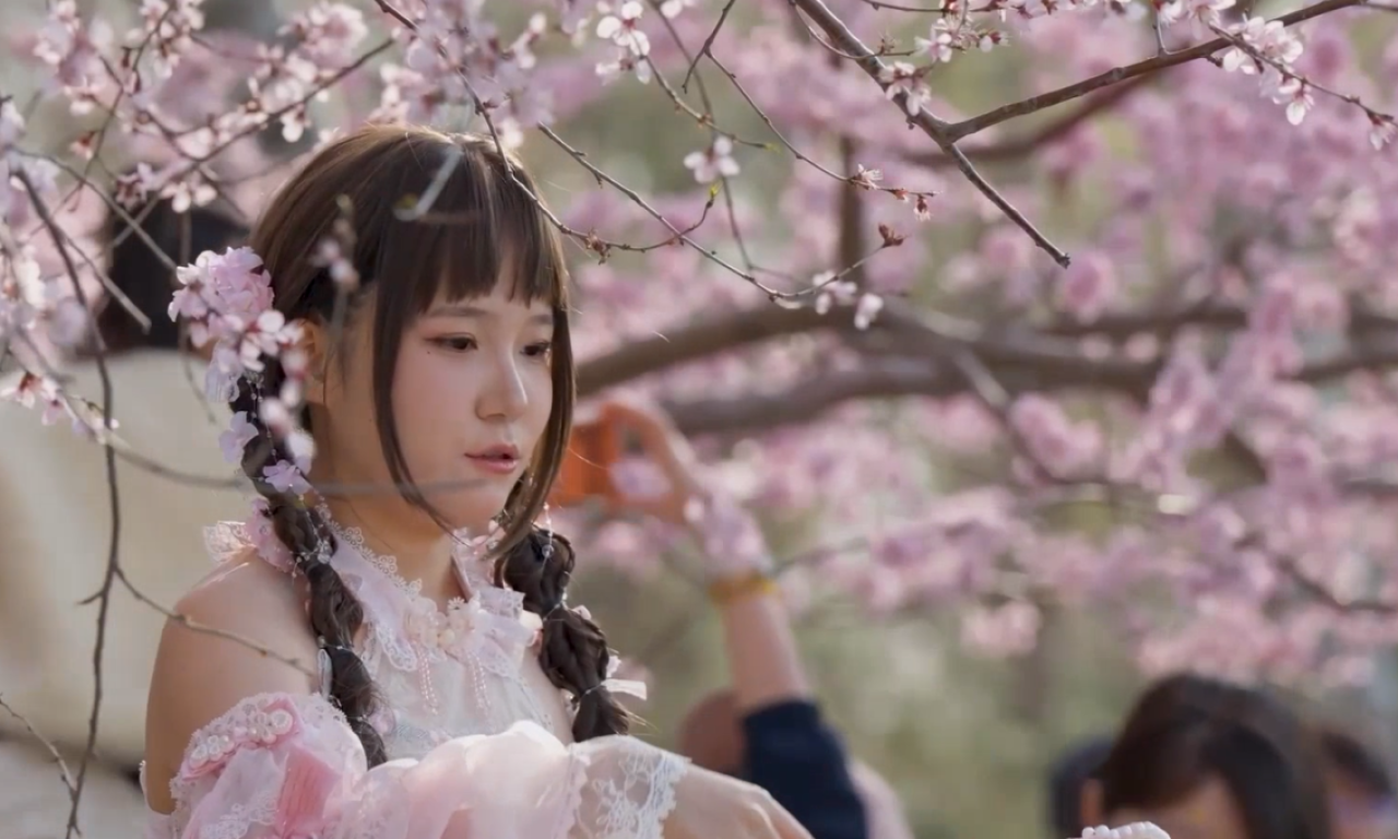 SPEKTAKL U ZEMLJI IZLAZEĆEG SUNCA! Procvetale trešnje u Japanu – simbol života i radosti (VIDEO)