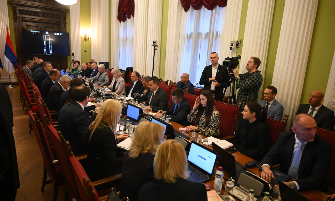 BRNABIĆ O SEDNICI ODBORA O BEZBEDNOSTI STUDENATA: "Trebalo je mnogo ranije da je zakažem"