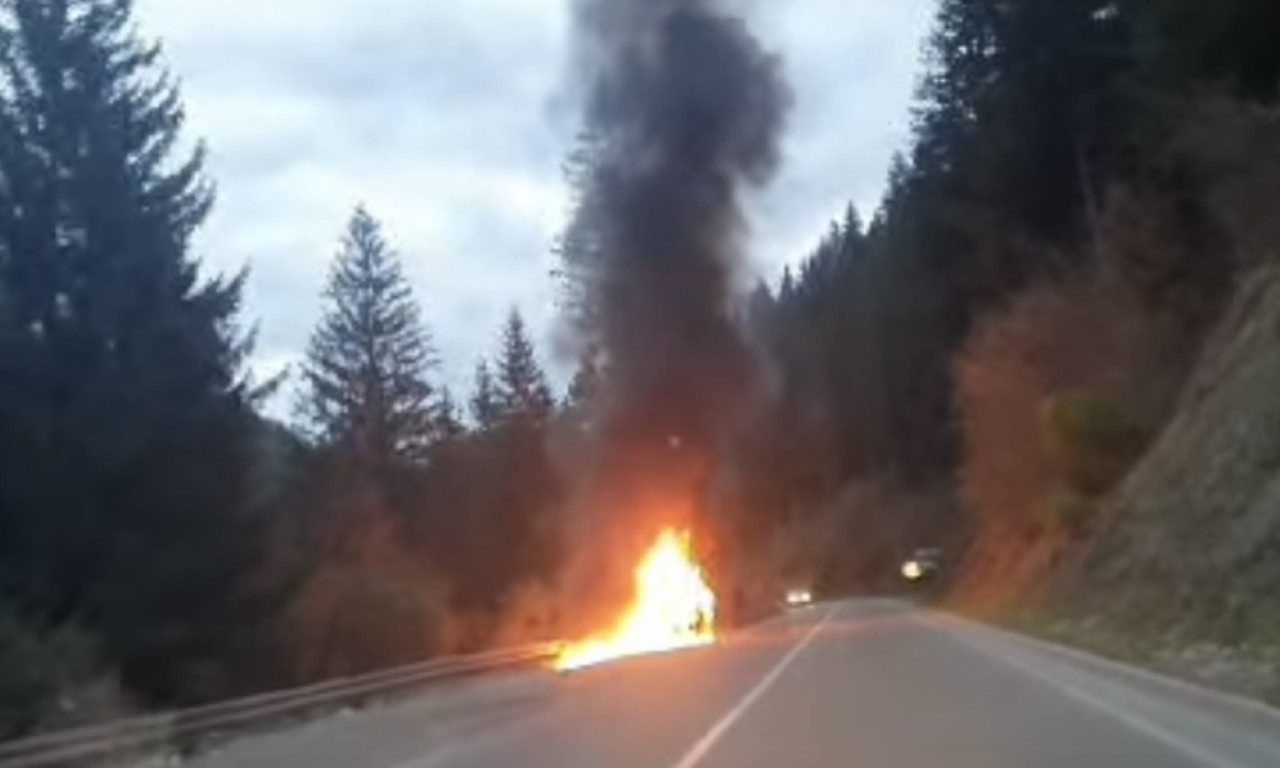 BUKTINJA NA PUTU KOD UŽICA Zapalio se automobil u pokretu, sablasan prizor u blizini Surduka (FOTO)