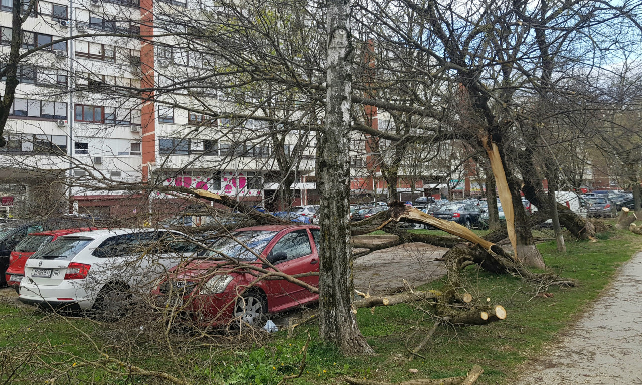 RAZORNO NEVREME IZ HRVATSKE STIŽE U SRBIJU? Orkanski udari vetra čupali drveće i rušili sve pred sobom... (FOTO)