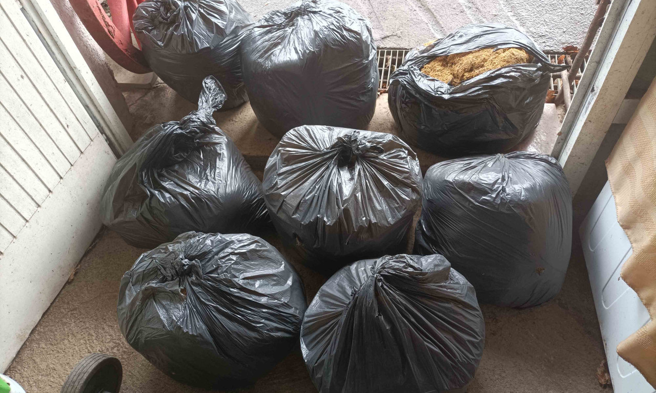 UHAPŠENA ŽENA KOD ZAJEČARA! "Pala" sa 100 kilograma duvana, oštetila državu za više od milion dinara (FOTO)