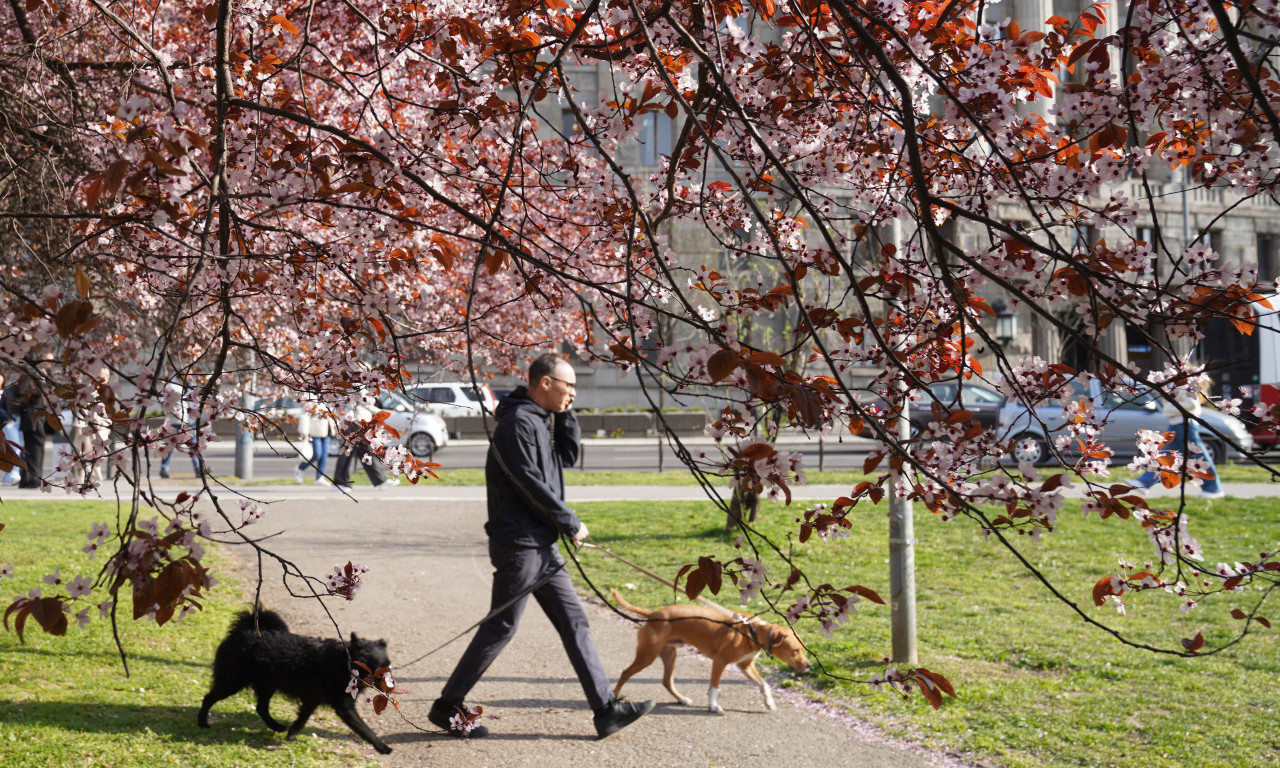 IDEALAN PROLEĆNI DAN: U Srbiji pretežno sunčano i toplo, najviša temperatura 25 stepeni
