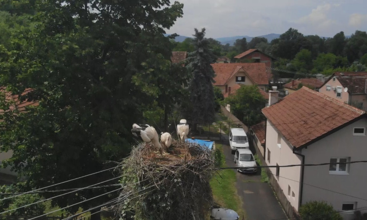 OMILJENI GOSTI STIGLI U ČAČAK Prizor posebno oduševio mališane, a raznežiće i vas (FOTO)