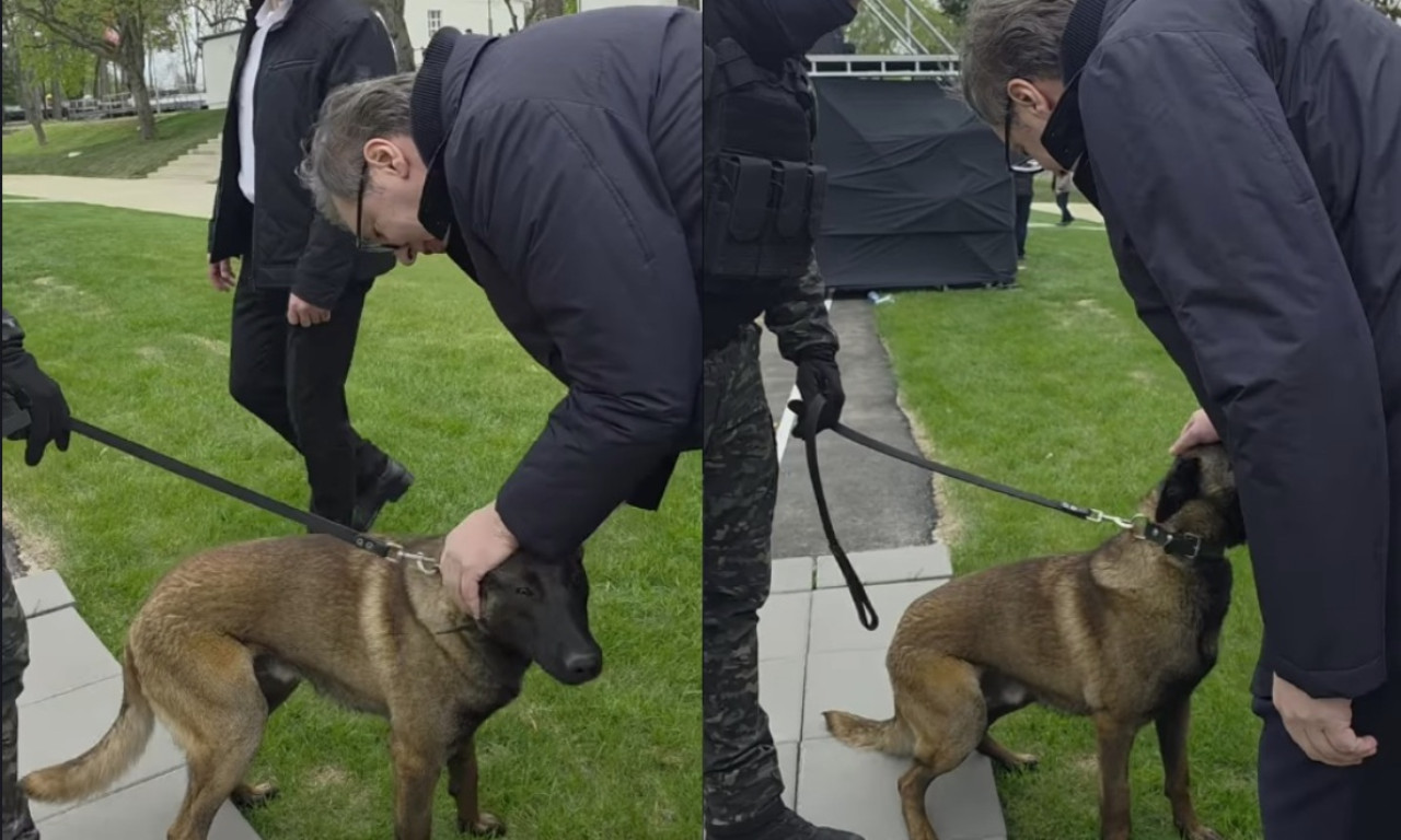 UPOZNAJTE MILUTINA, OMILJENOG ČLANA "KOBRI" Snimak sa Vučićem gleda cela Srbija: Neumoljiv je i izuzetno opasan (VIDEO)