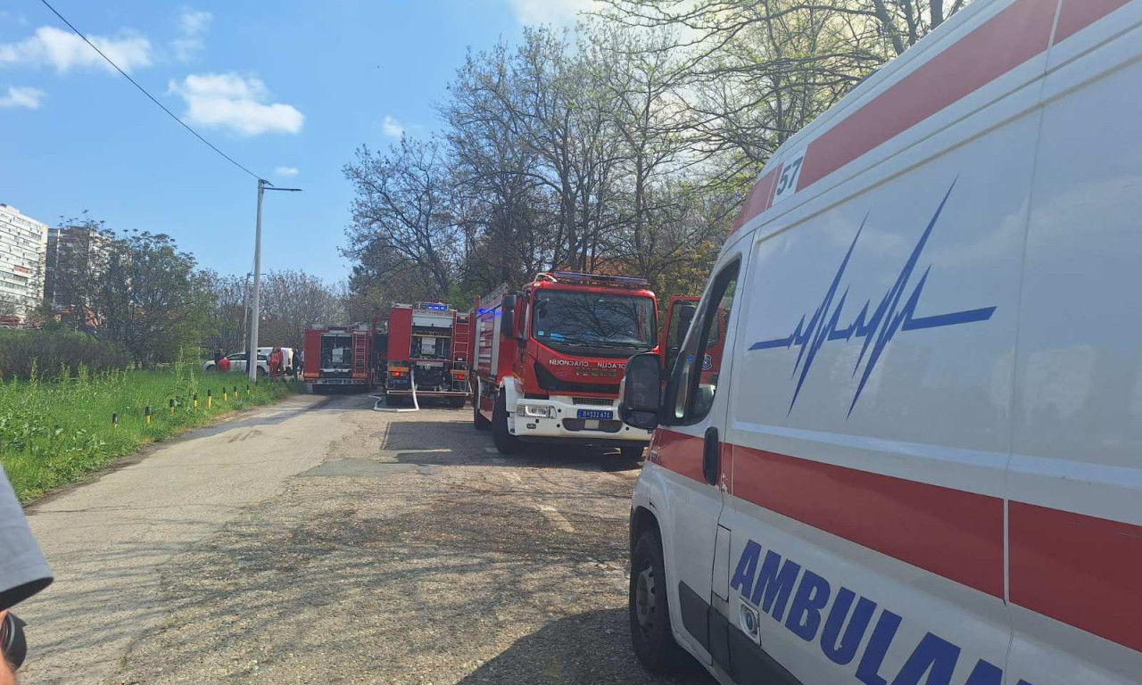 TRI VATROGASNA VOZILA IZAŠLA NA TEREN Izbio požar u baraci u Rovinjskoj ulici (FOTO)
