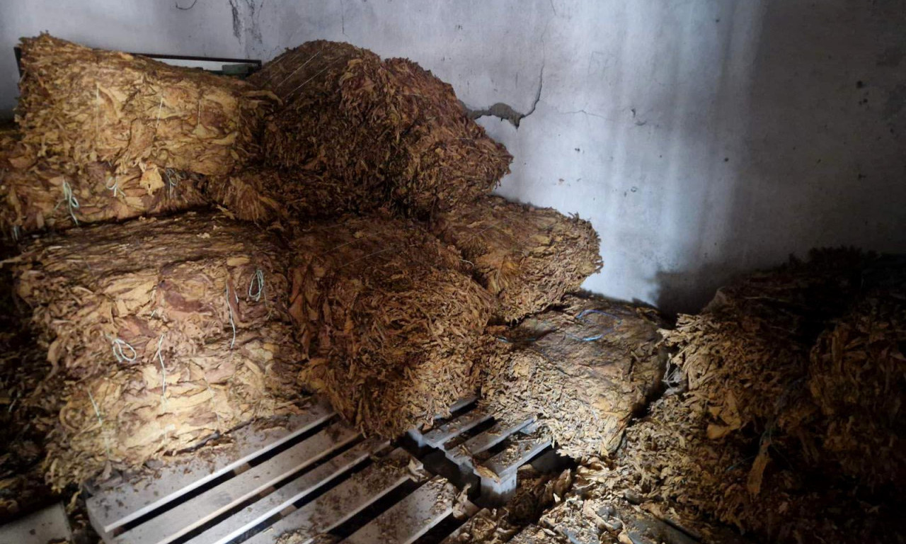OŠTETIO BUDŽET REPUBLIKE SRBIJE! Policija u Rumi uhapsila muškarca zbog ilegalne prodaje 540 kilograma duvana (FOTO)
