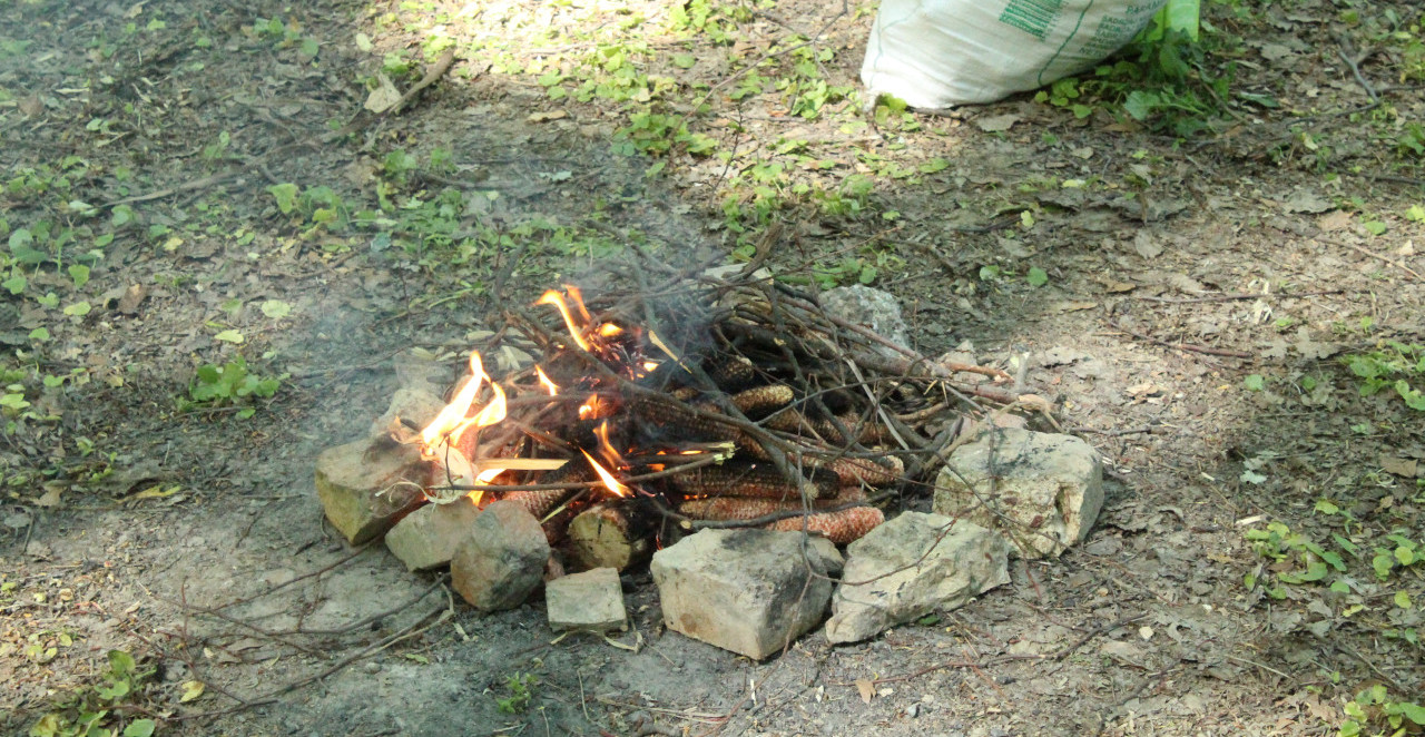 PRVOMAJSKI URANCI ŠIROM SRBIJE Evo gde se roštilja (FOTO)