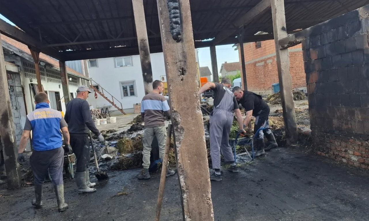OD SVEGA ŠTO SU IMALI OSTAO JE SAMO PEPEO Porodici Nenadić potrebna pomoć dobrih ljudi (UZNEMIRUJUĆE FOTOGRAFIJE)