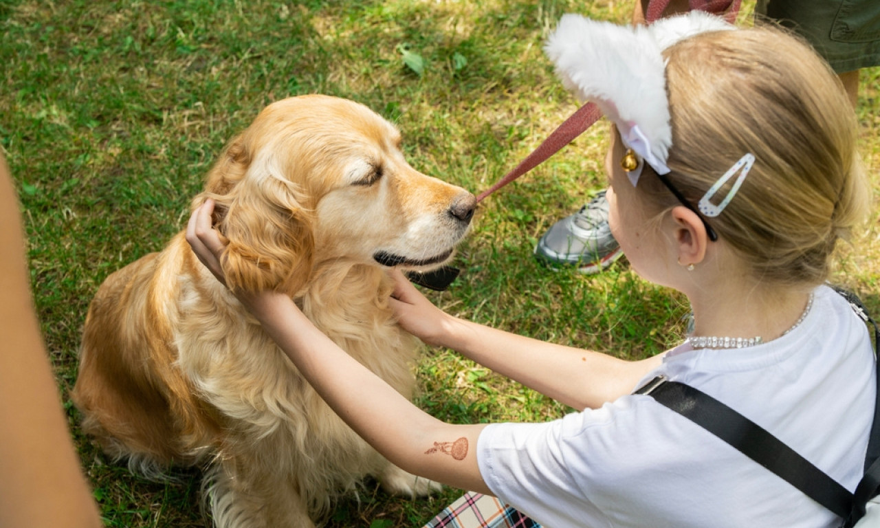 VEROVALI ILI NE: U ovom gradu vlasnici pasa dobijaju besplatne flašice da peru mesta gde se ljubimci pomokre