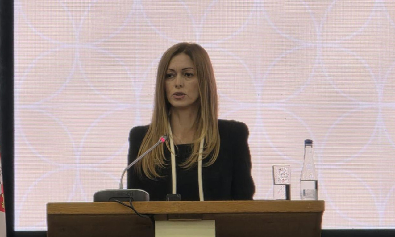 ČOGURIĆ O STANJU U PRAVOSUĐU: Mladi pravnici odlaze, sudovi moraju ponovo biti privlačni