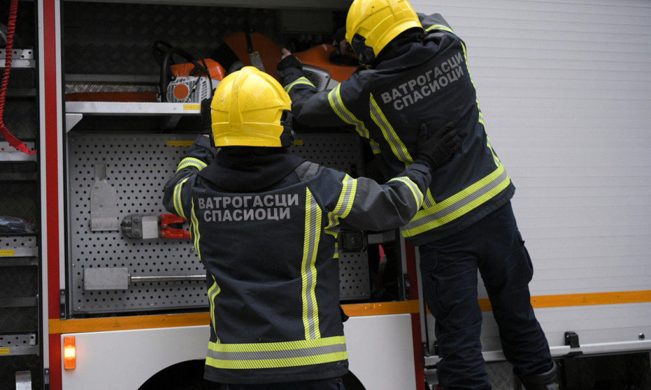 VELIKI POŽAR KOD ŠAPCA! Izgorelo 20 vozila, vatrogasci na terenu! (FOTO)