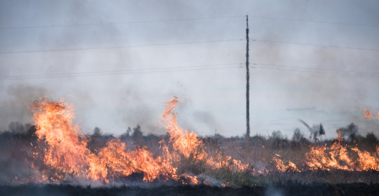 POŽARI U SRBIJI ODNELI ŽIVOT Nastradala jedna osoba!