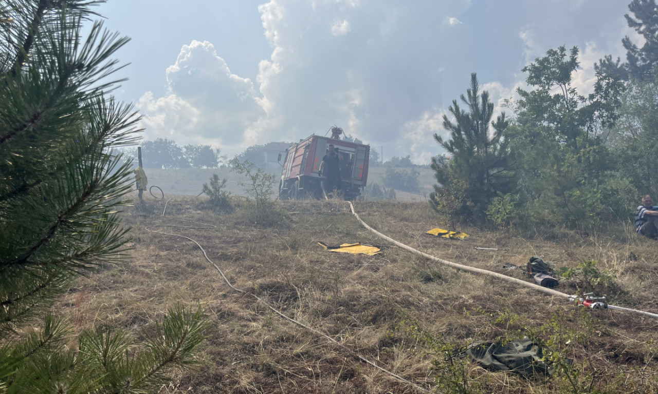 KATASTROFA KOD ČAČKA:  Šumski požar u selu Gornja Gorevnica, gori površina od 10 hektara