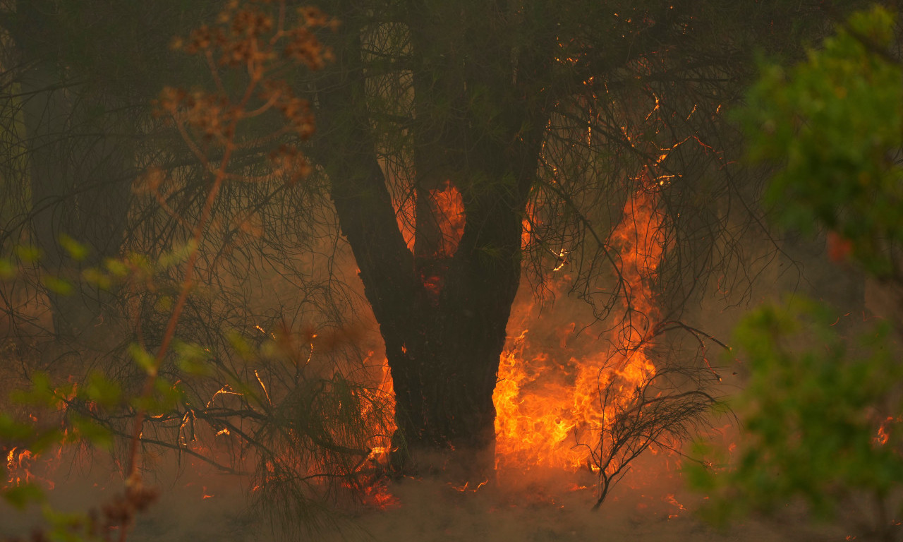 GORE KUĆE I AUTOMOBILI, ODZVANJAJU EKSPLOZIJE, LJUDIMA SE BORE ZA ŽIVOT! Stravičan požar u hrvatskom gradu