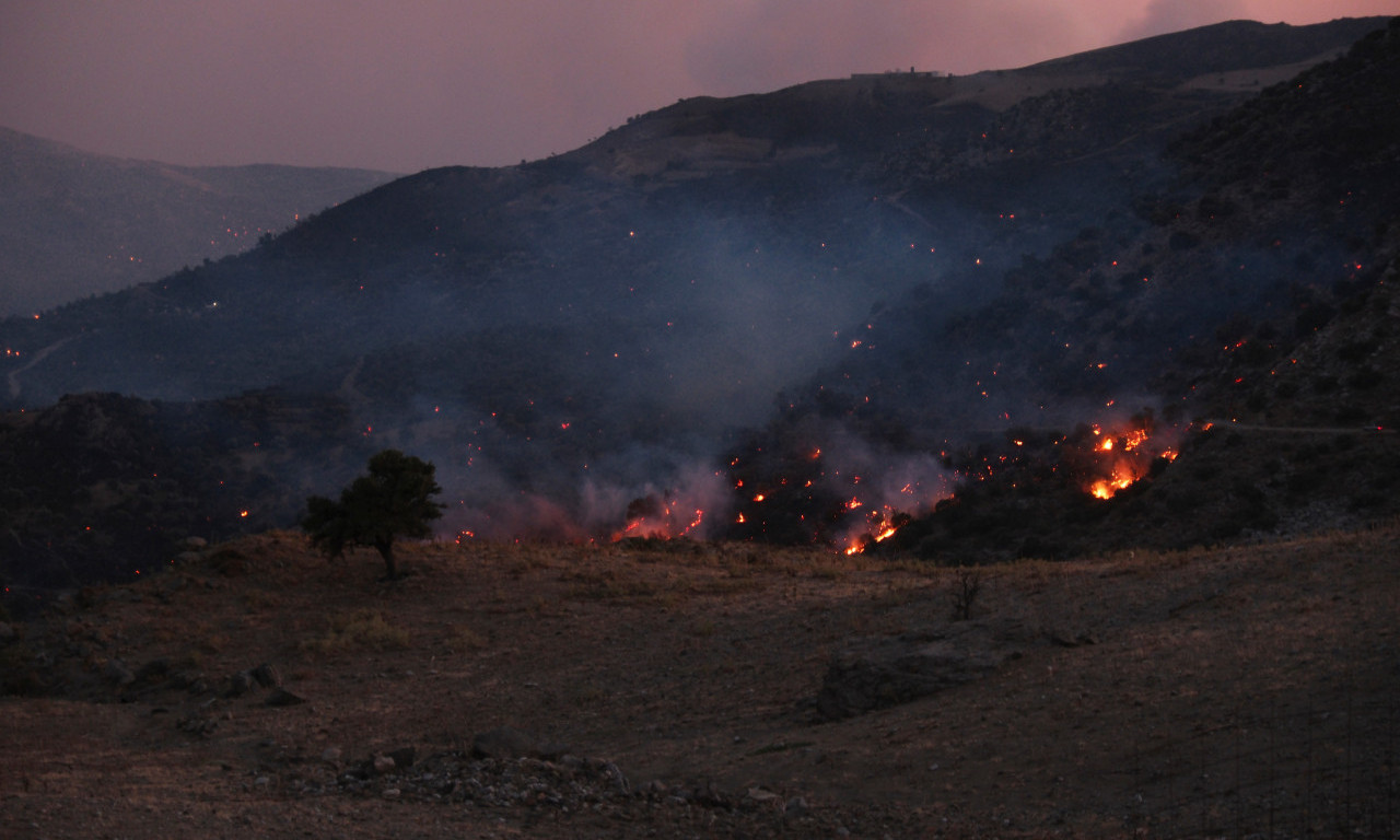 POŽAR U DUBROVNIKU GUTAO 6.000 KVADRATA ŠUME Građani čuli zvukove nalik eksplozijama
