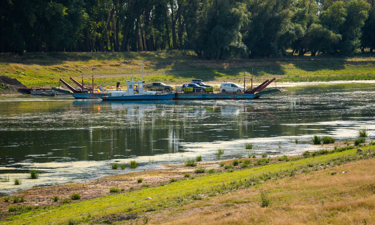 U KORITU DUNAVA OTKRIVENA TAJNA STARA HILJADAMA GODINA! Nizak vodostaj izneo na površinu praistorijskog džina (VIDEO)