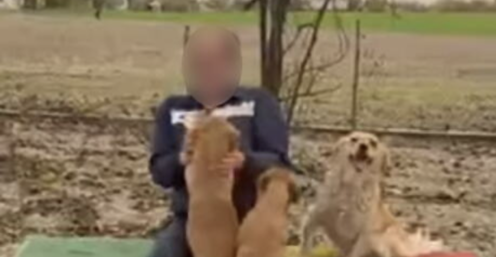 OVO JE DRAGAN KOJI JE UPUCAN U BATAJNICI Napadač vlasniku azila za pse pucao u nogu, pa dohvatio sekiru... (FOTO)
