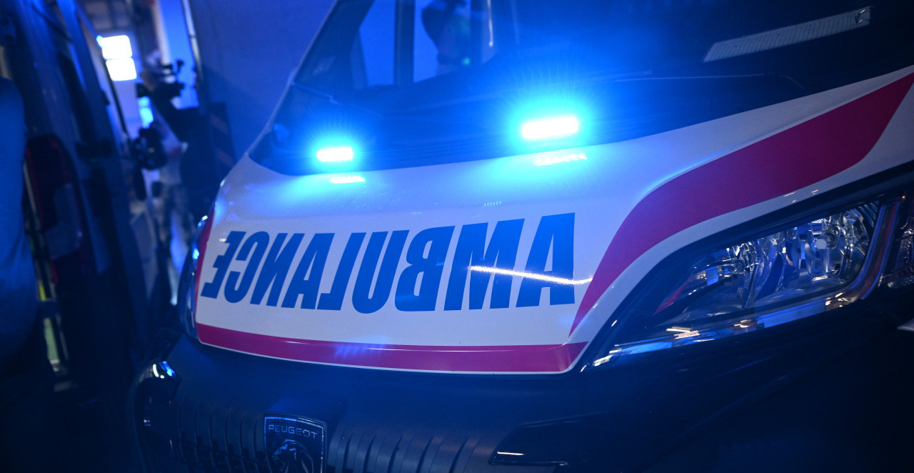 UŽAS U KRALJEVU! AUTOMOBIL POKOSIO MAJKU SA DVOJE DECE NA PEŠAČKOJ STAZI Devojčica (5) u komi! (FOTO)