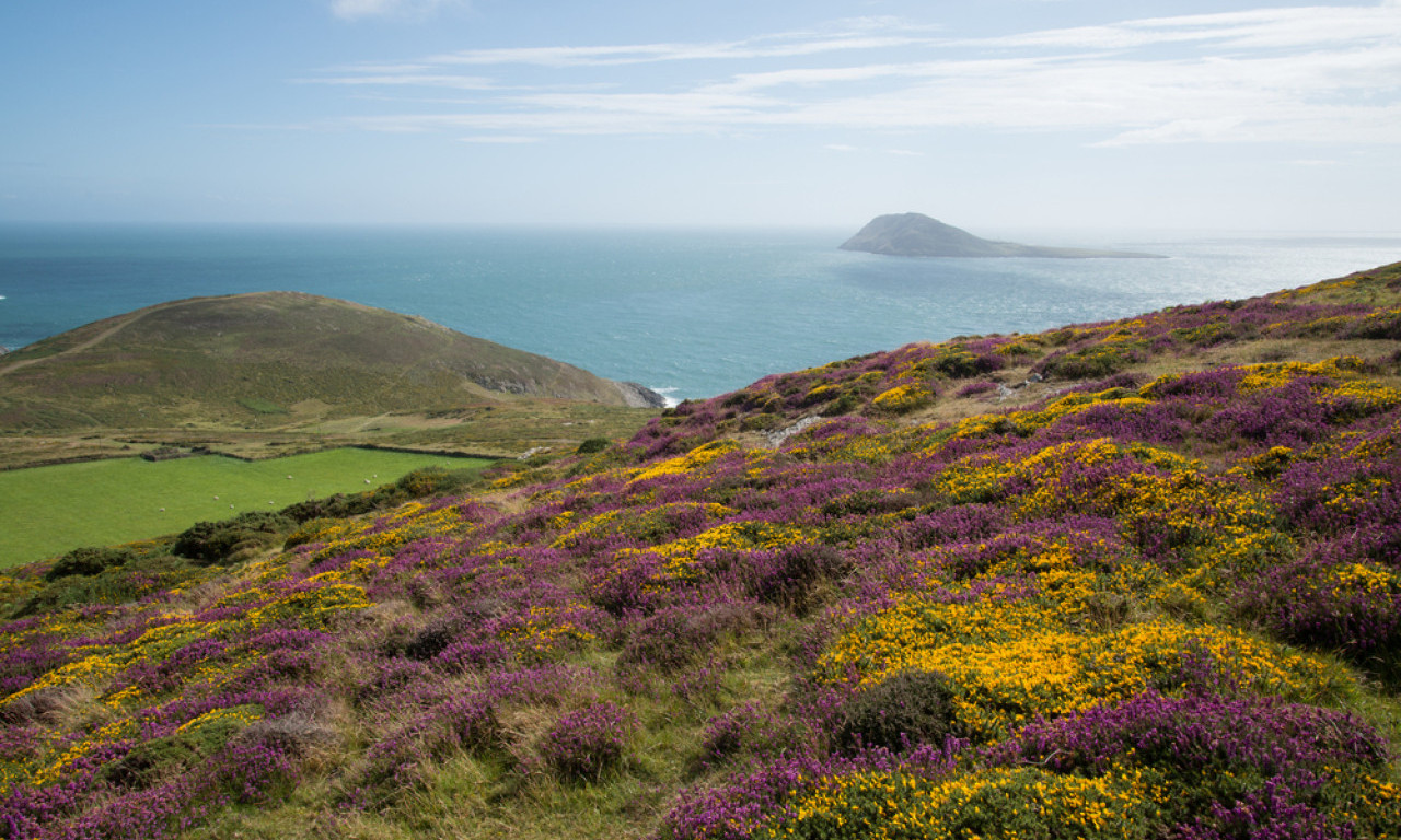 POSAO IZ SNOVA ILI NOĆNA MORA? Ostrvo sa tri stanovnika i bez struje traži radnike – smeštaj je besplatan, a evo kolika je satnica!