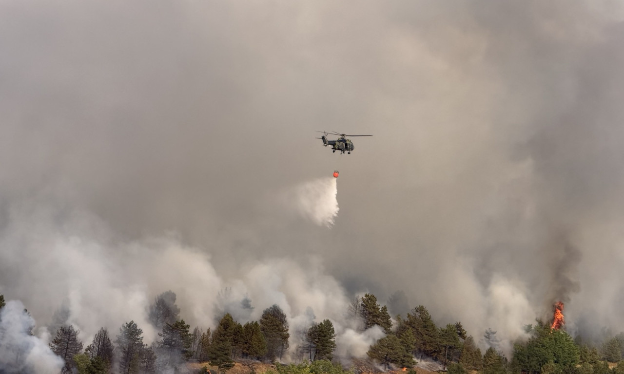 VATRENA STIHIJA GUTA SVE PRED SOBOM: Na gašenju požara u Deliblatskoj peščari angažovani svi kapaciteti MUP-a (FOTO/VIDEO)
