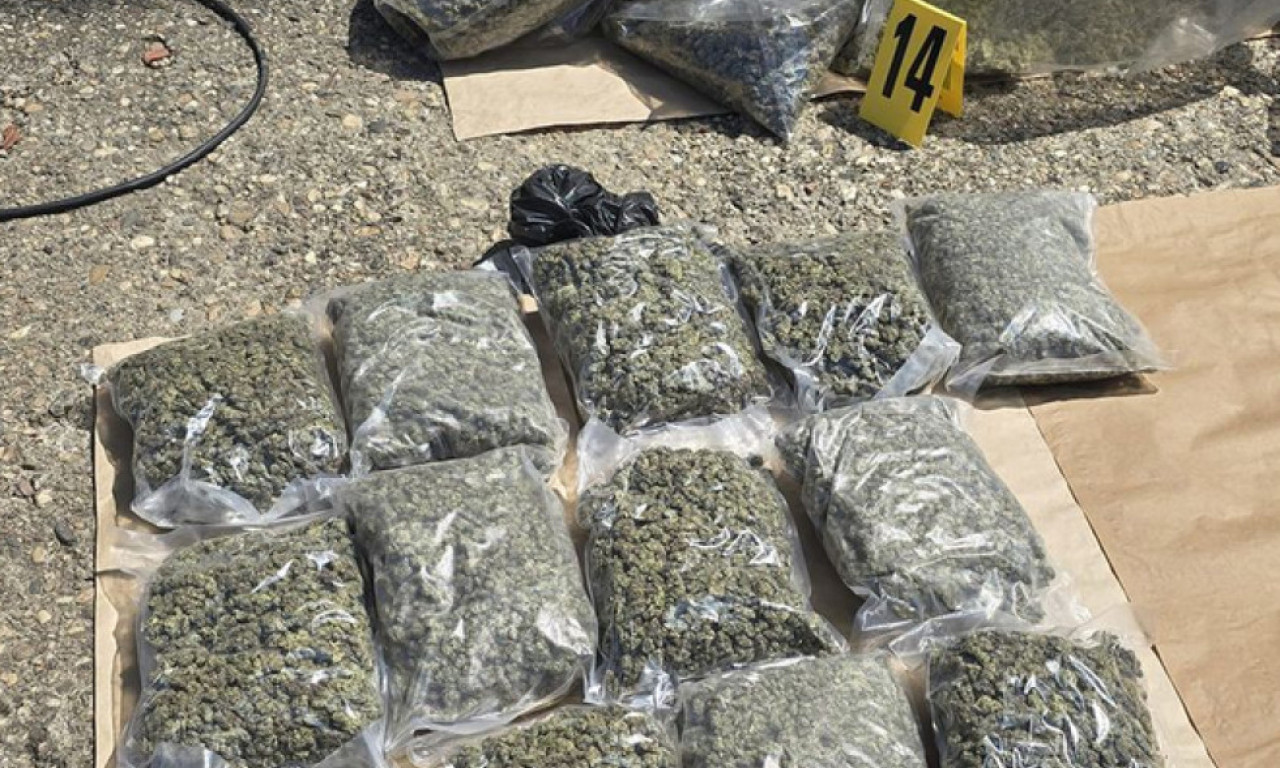 VELIKA POLICIJSKA AKCIJA U SMEDEREVU: Zaplenjeno oko pola tone droge!