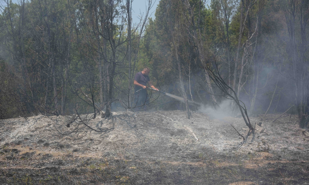 PRIORITET DA NIKO NE STRADA Čaušić: Situacija sa požarom u Deliblatskoj peščari teška! Zahvatio 1.500 hektara šume (FOTO)