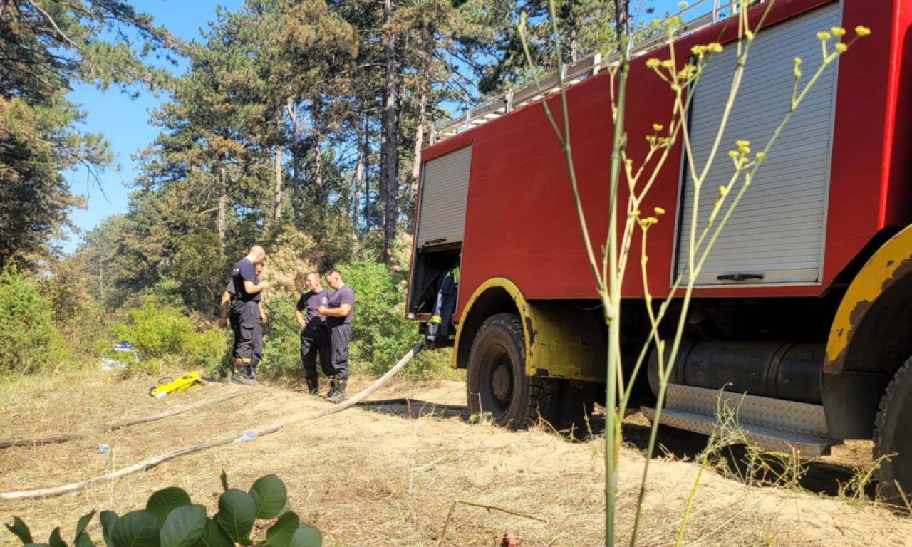 NAJNOVIJI IZVEŠTAJ O STANJU NA TERENU! Broj žarišta u Deliblatskoj peščari sveden sa 64 na 3, nema žrtava! (VIDEO)