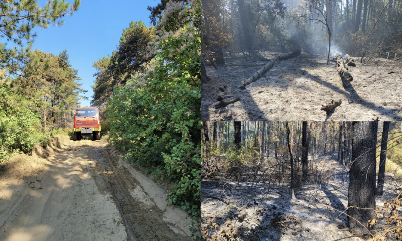 "MOJ TATA JE JEDAN OD HEROJA KOJI GASI POŽAR U DELIBLATSKOJ PEŠČARI" Za K1info otkriva stanje iza vatrene linije (VIDEO)